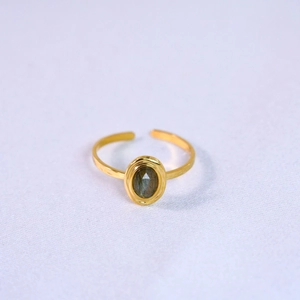 Detailed close-up of a gold-plated stainless steel ring with an oval red gemstone inlay