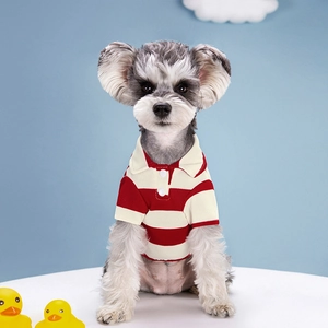 Red and white striped dog polo shirt with white collar and buttons for small pets