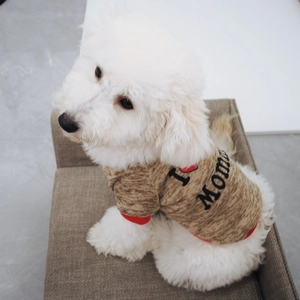 Detail of warm fleece dog hoodie with I Love Mom print on beige knit fabric