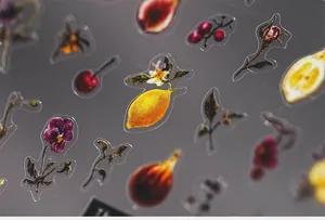 Macro shot of vintage lemon and floral PET stickers with detailed plant illustrations