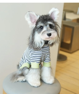 Détail d'un t-shirt rayé bleu et jaune pour chien avec finitions côtelées en coton doux