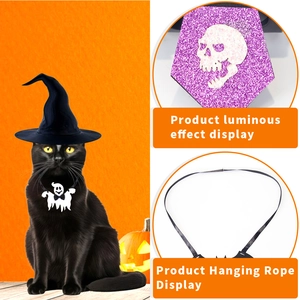 Halloween pet set featuring a glowing skull pendant and ghost bowtie on a black cat