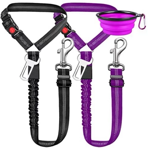 Détail des ceintures de sécurité en nylon pour animaux et d'un bol pliable en silicone violet