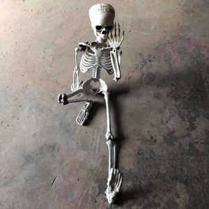 Detailed view of a full-body plastic skeleton prop sitting on a concrete surface