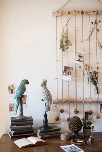 Detail of hanging natural birch wood photo display with rustic rope and decorative parrot