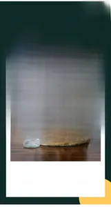 Détail macro du socle en résine nain de plage avec poivrière en verre pour la cuisine