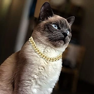 Luxurious wide golden Cuban link pet necklace for cats and dogs on blurry indoor background