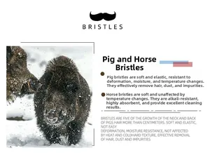 Detail view of natural boar and horse bristles texture for beard styling brushes