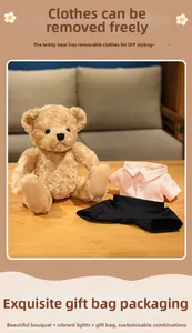Detail of teddy bear in pink striped shirt with accessories, bouquet, and gift bag