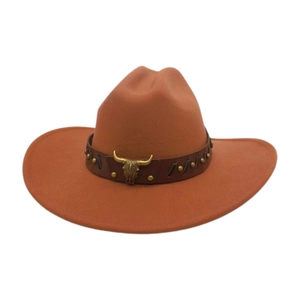 Detail of brown felt cowboy hat featuring vintage golden longhorn and leather band