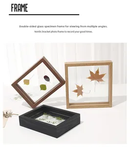 Three-color double-sided glass frames for plant specimens in wood and black finishes