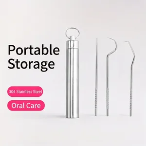 7-piece portable 304 stainless steel toothpick and dental pick set with storage case