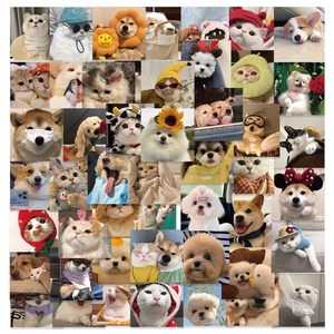 Cute Pet Cat Dog Stickers Waterproof PVC Cartoon Aesthetic Decals For Laptop Phone Suitcase DIY Decoration Gift