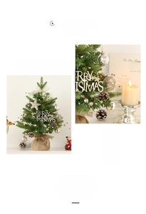 Detailed close-up of a mini Christmas tree with gold stars and pine cones in burlap base