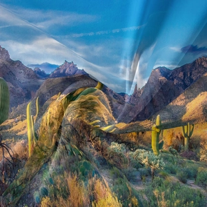 Detailed close-up of semi-transparent desert landscape tapestry with silky texture