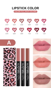 Dettagli del set di 12 rossetti opachi con formula impermeabile e confezione leopardata