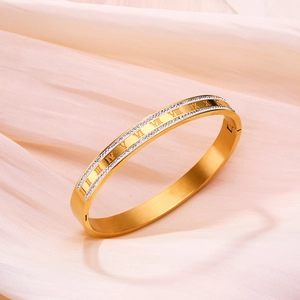 Titanium steel 18K gold plated bracelet featuring Roman numerals and double row zircon stones