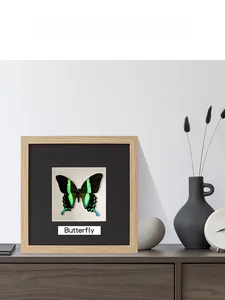 Detailed close-up of a natural green butterfly specimen in a solid wood shadow box frame