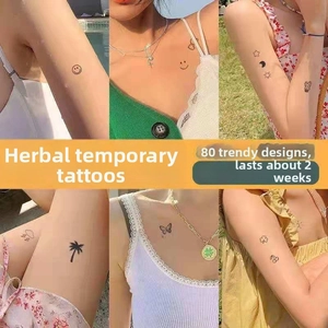 Detail view of 80 semi-permanent herbal tattoo designs on skin with various small icons