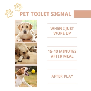 Infographic showing three key puppy potty signals: waking up, after eating, and after play