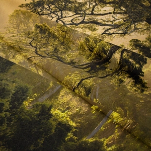 Detail shot of digital print forest landscape tapestry with textured fabric folds