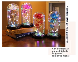 Detail of four colorful preserved roses in glass domes with glowing LED fairy lights