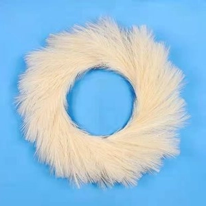 Macro shot of circular pampas grass wreath in light beige on a blue background