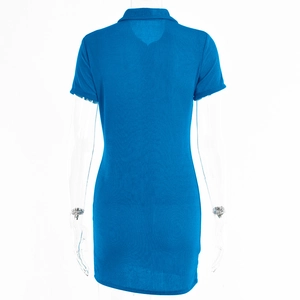 Rückansicht eines blauen Polo-Kleids mit kurzen Ärmeln und einreihiger Knopfleiste aus Baumwolle