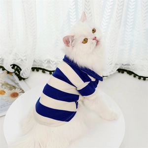 Close-up of white cat wearing a blue and beige striped polo shirt on a white base