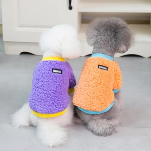 Close-up of bicolor teddy fleece pet sweaters in purple yellow and orange blue on small dogs