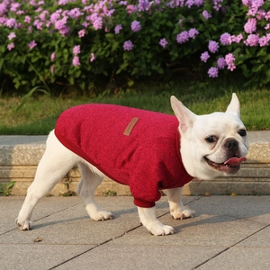 Close-up of red knitted pet sweater with Classic leather label on a French Bulldog