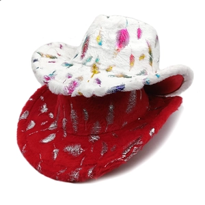 Chapeau De Cowboy Western Fausse Fourrure De Lapin Imprimé Plumes Métalliques Bord Large Chaud Fête Mode Femmes Hommes