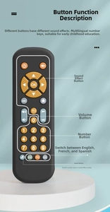 Educational TV remote toy with trilingual language modes and volume control buttons