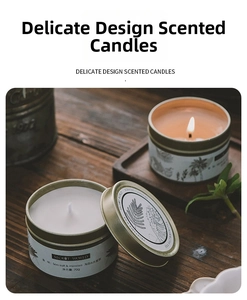 Detailed view of two 70g Sea Salt and Mimosa scented soy candles in decorative tin cans