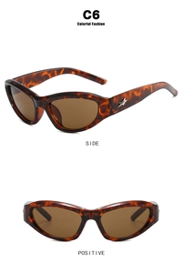Detail view of tortoiseshell sunglasses featuring silver star logo on the side temple
