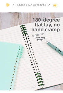 Flat-lay view of a mint green 26-hole loose-leaf notebook opened 180 degrees on wood