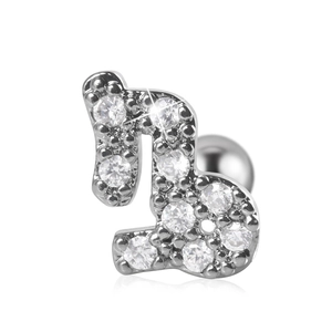 Sparkling zodiac zircon stud earring in polished stainless steel with screw ball back