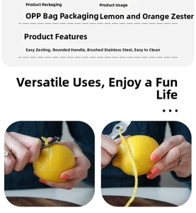 Detail of stainless steel lemon zester with rounded handle for citrus peeling