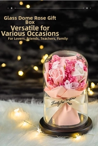 Pink and white soap roses in a glass dome with LED string lights and a Just for you ribbon