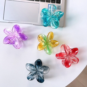 Five translucent gradient frangipani hair claw clips in various colors for women