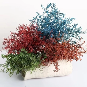 Preserved colored Limonium flowers in a white ceramic vase for home floral decoration