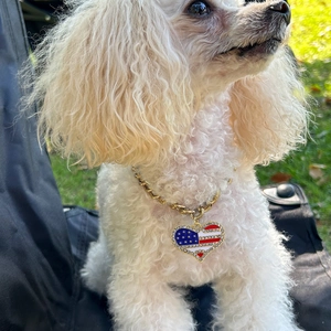 Pet Necklace Gold Cuban Chain Rhinestone Heart USA Flag Pendant Adjustable Jewelry For Dogs Cats Hip-Hop Style
