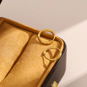 Detailed close-up of 18K gold-plated stainless steel hoop earrings in a jewelry gift box