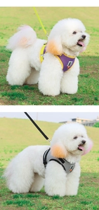 Breathable mesh dog harness and leash set for small pets outdoor walking and training
