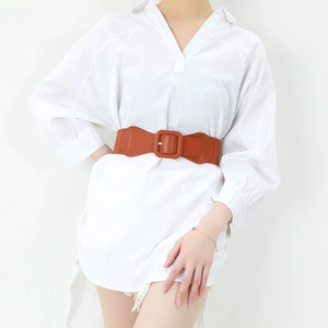 Chic brown woven elastic wide waist belt with square buckle for women dresses