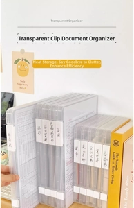 Vertical clear A4 file organizer with secure buckles and side labels for document storage