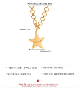 Dettaglio della collana con stella dorata che mostra la chiusura a T e la catena spessa