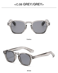 Detailed front and side views of transparent grey round frame sunglasses with grey lenses