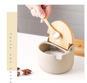 Detail of ceramic seasoning jar with wooden lid and spoon holding fine salt grains