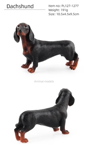 Detailed views of realistic Dachshund animal model with textured fur and dimensions